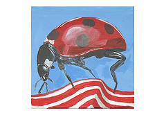 Vincent Roure (Yvelines) Coccinelle Viking