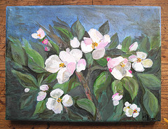 "Jolies fleurs" Marie-Christine Blouin