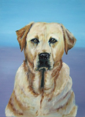 Labrador de Sylvie Peters