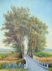 Le panneau rouge kikini au bout du tunnel des pins Saint Pierre de Vassols (prs d'Avignon, en bas du Mont Ventoux