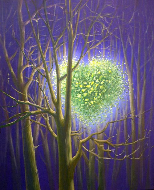 in the woods, at night, a luminous heart announce Spring.