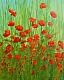Coquelicots