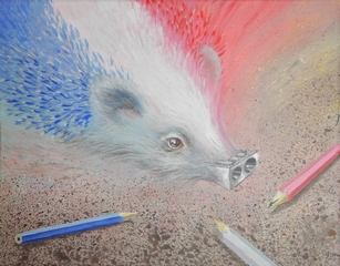 le hrisson (c'est le symbole de notre peuple ) va avec plaisir sincre enfin rparer, retailler les couleurs de notre rpublique