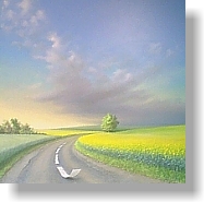 Colza field French road in May. Jury Award at AGAP 2001,Gisors.