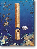 Amazing how the mind works?