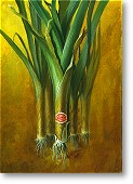 my bank's name changed from Capital Bank (a lot like cigars) to Union Planters Bank (Leeks)