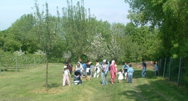 Visite du verger de saint Clair sur Epte par un groupe d'Argenteuillais